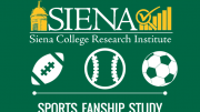 Sports fanship image