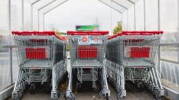 shopping carts