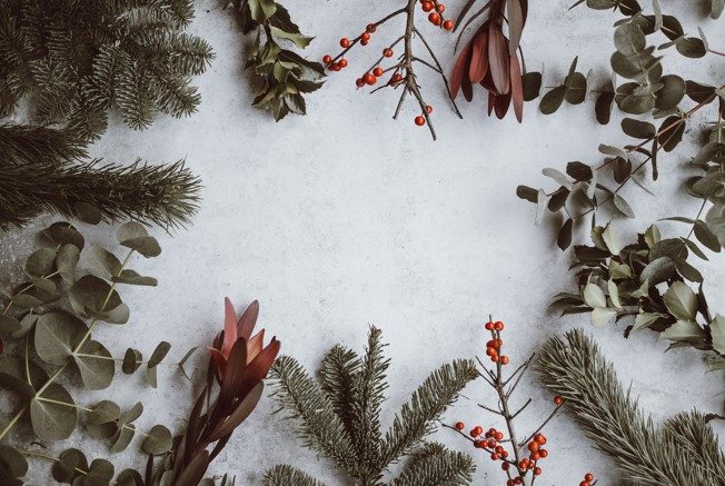 holiday pic of branches and holly