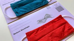 mail vote covid