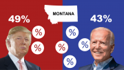 montana graphic